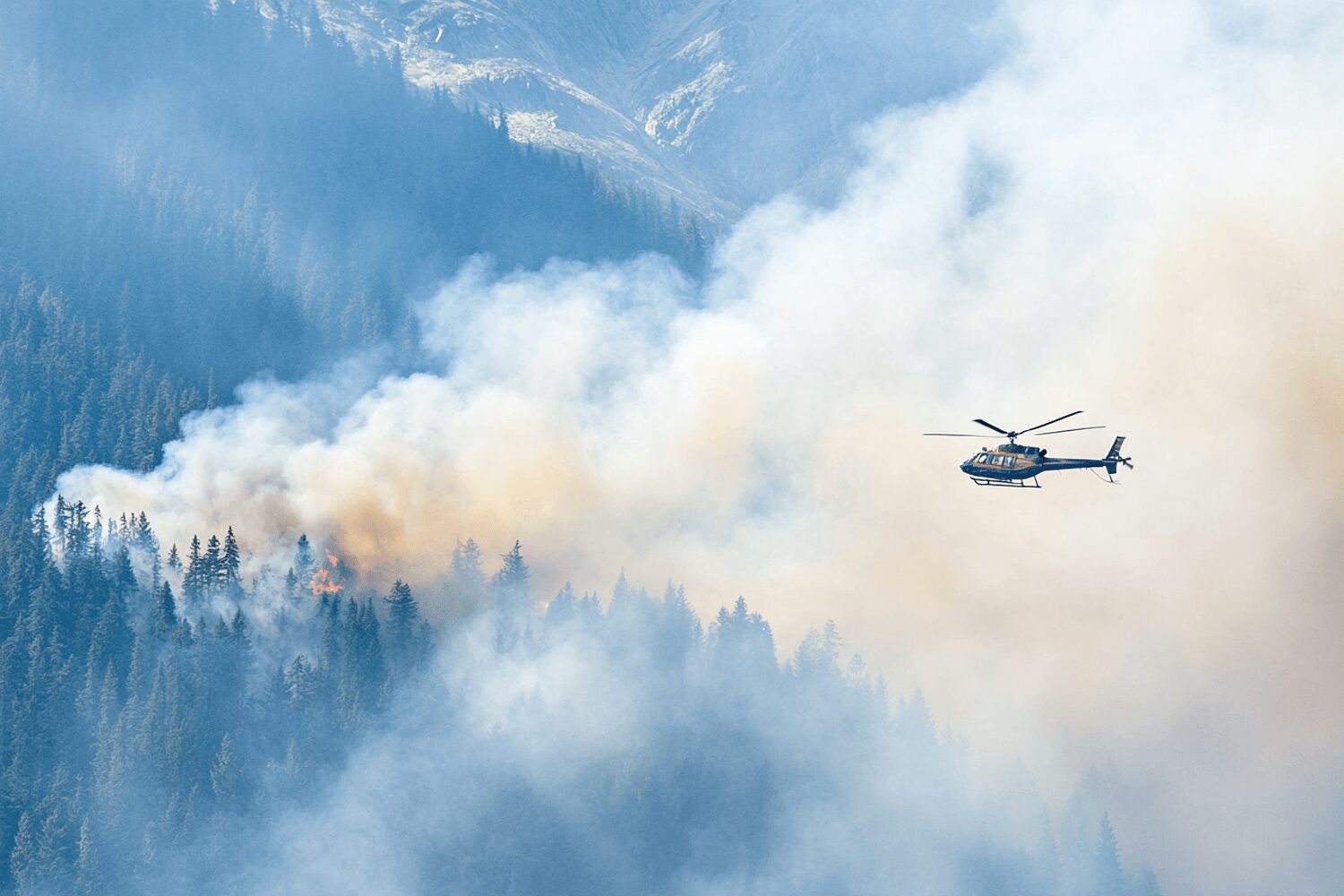 Facing Wildfire in BC and Alberta: What to Expect After a Wildfire in Western Canada