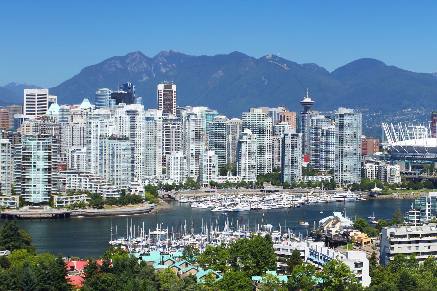 tiger-ring-construction-service-area-vancouver-bc-2 Tiger Ring Construction Renovation Service Area